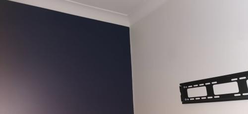 feature-wall-in-dark-blue