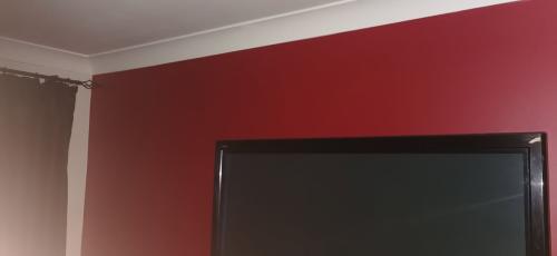feature-wall-in-salsa-red