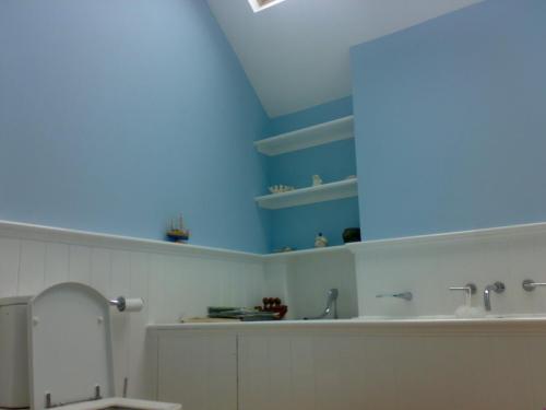 bathroom-walls-and-panelling-painted